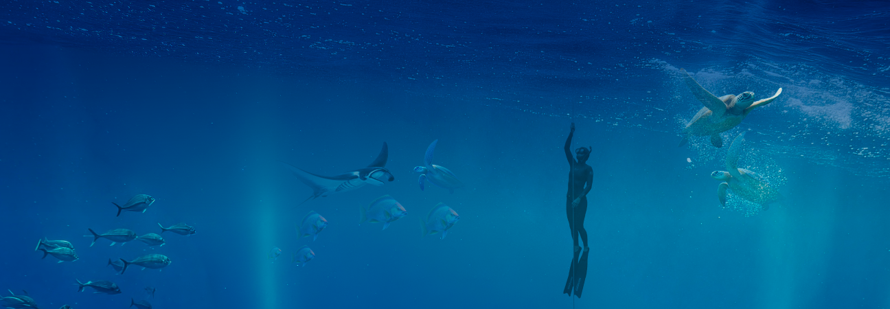 Denizin Derinliklerinde %20 Ayrıcalık!