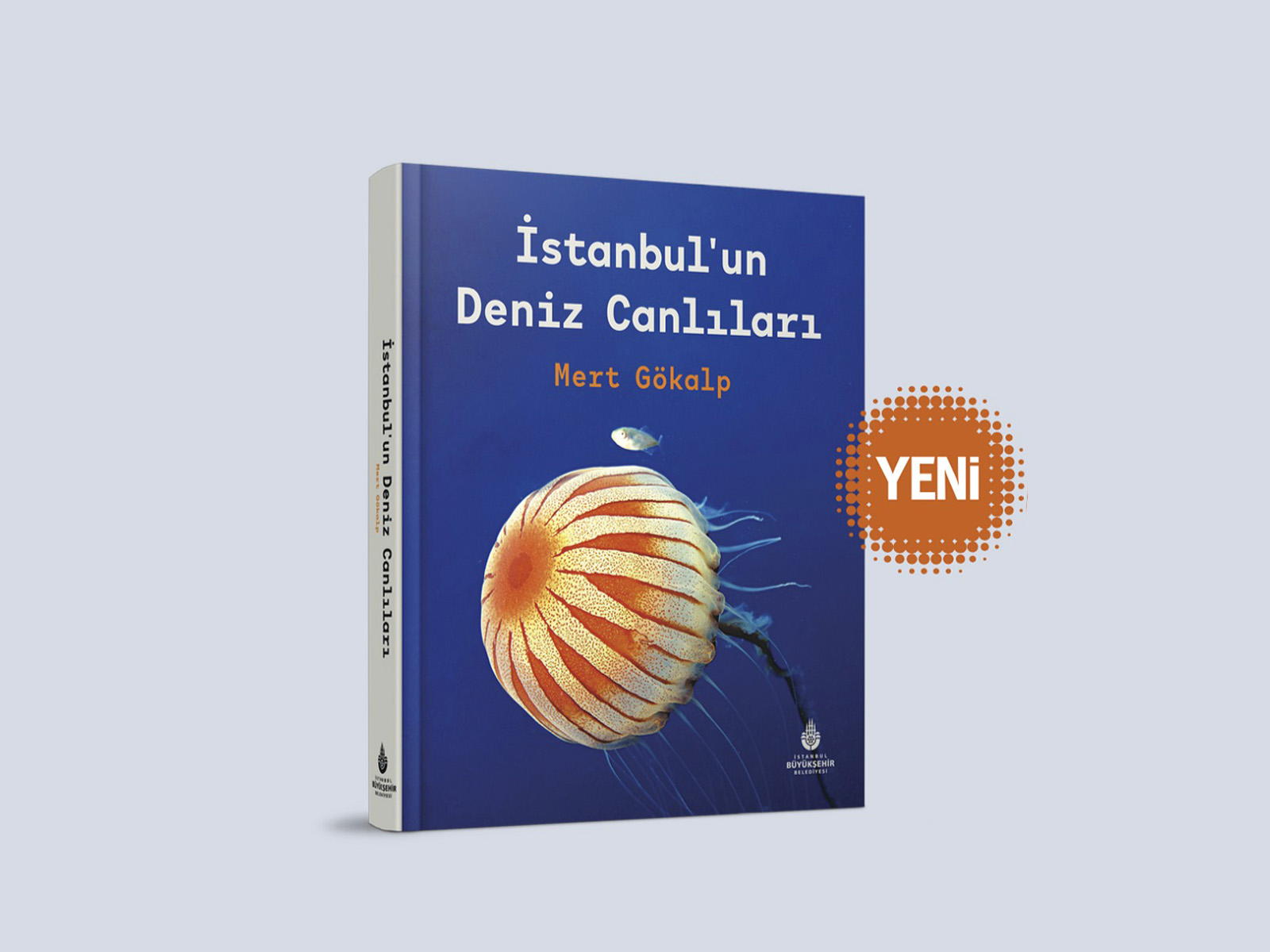  Read the history of Istanbul through the eyes of fish