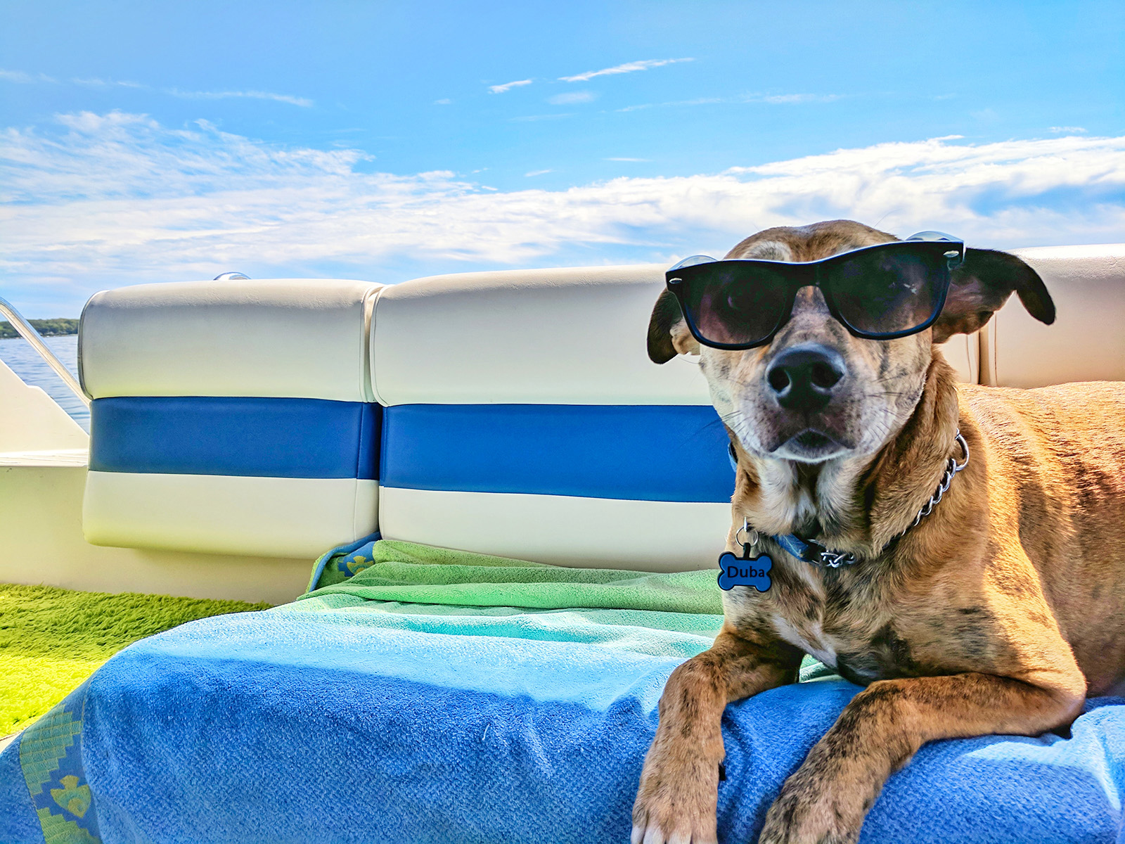 Light, spacious, eco-friendly: the pontoon boat trend is growing