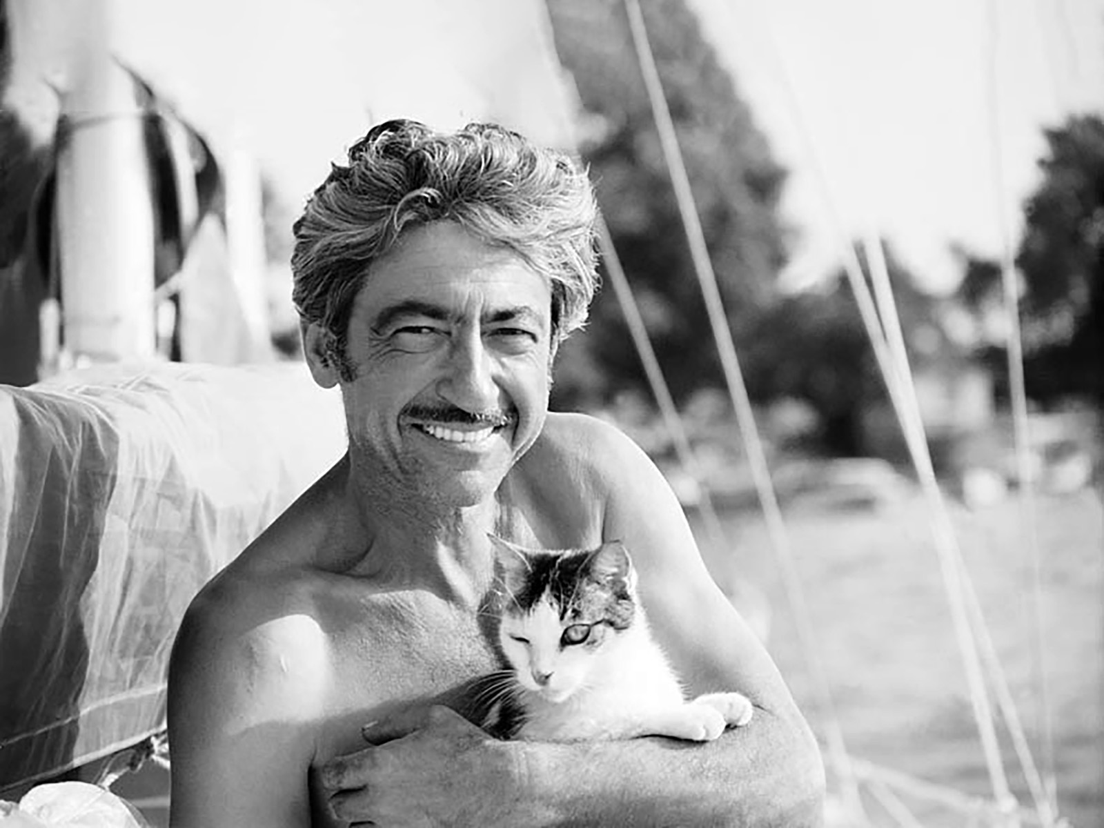 Sailor cats that made history