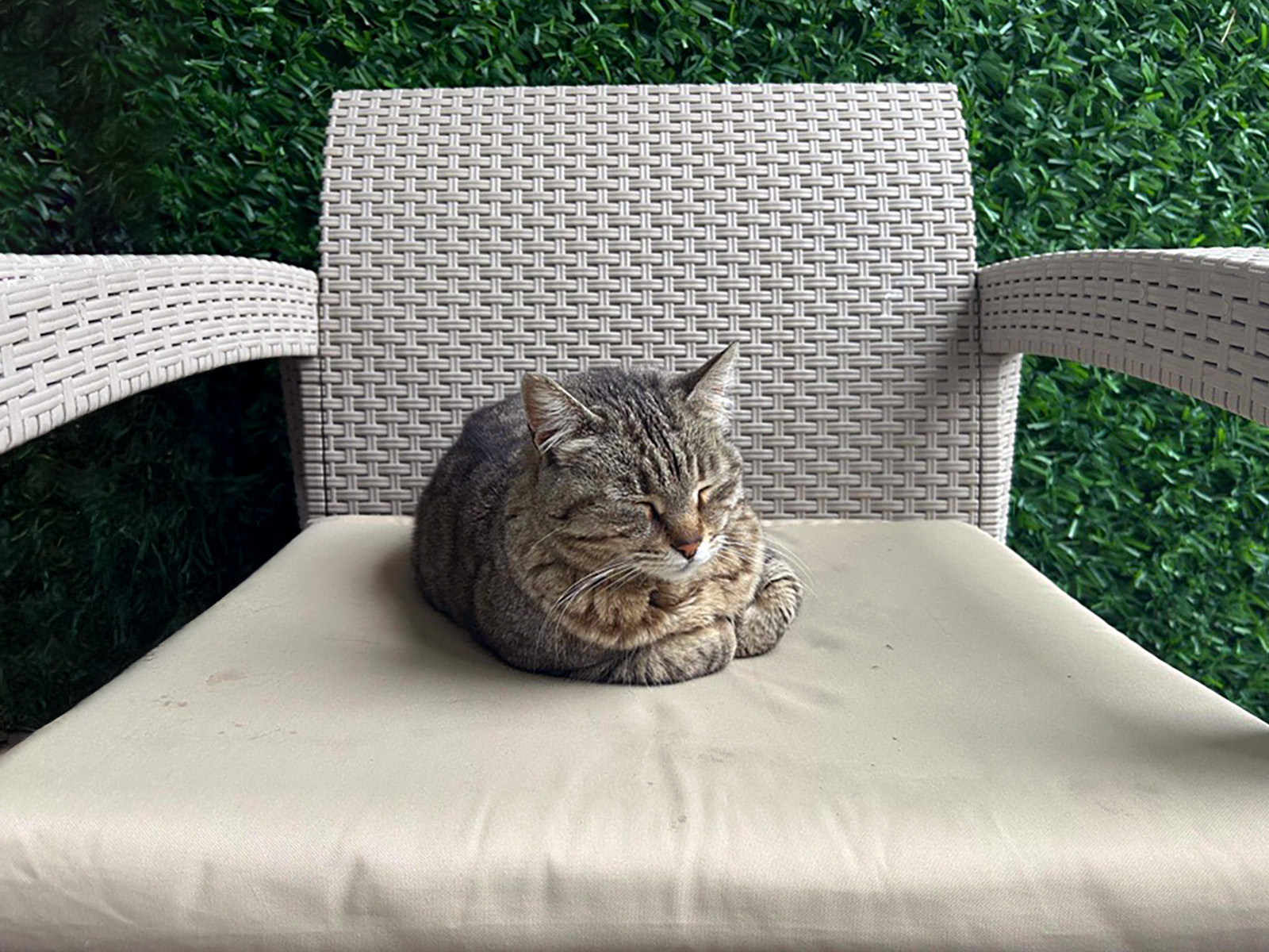 It has no name yet, but it has a place