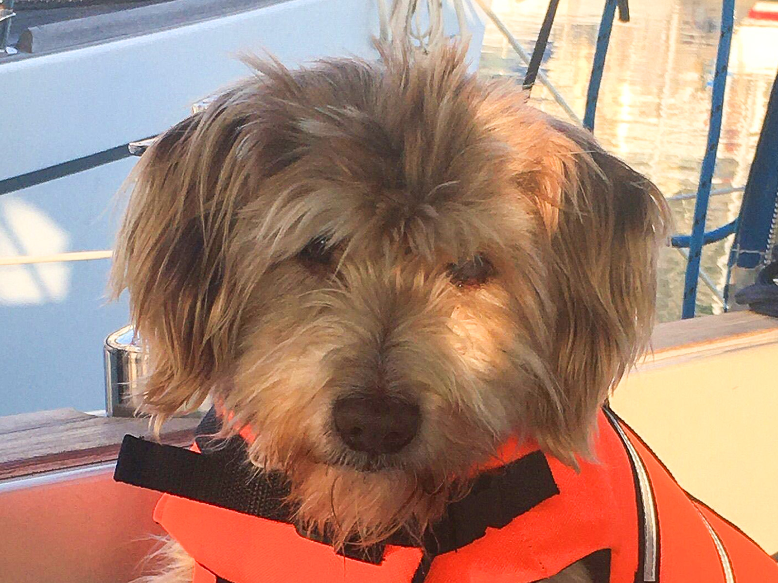 "Mr. Paspas the smarty-pants" from the Setur Marinas Finike community
