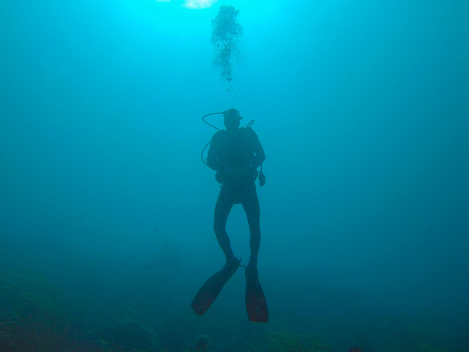 When should you call a diver?