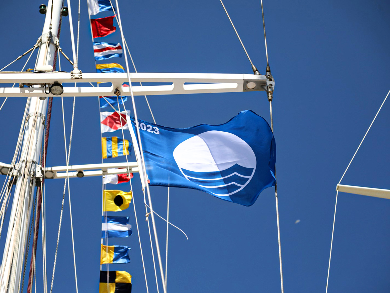Blue Flag for Marine Life Protection Association's "Valmira"