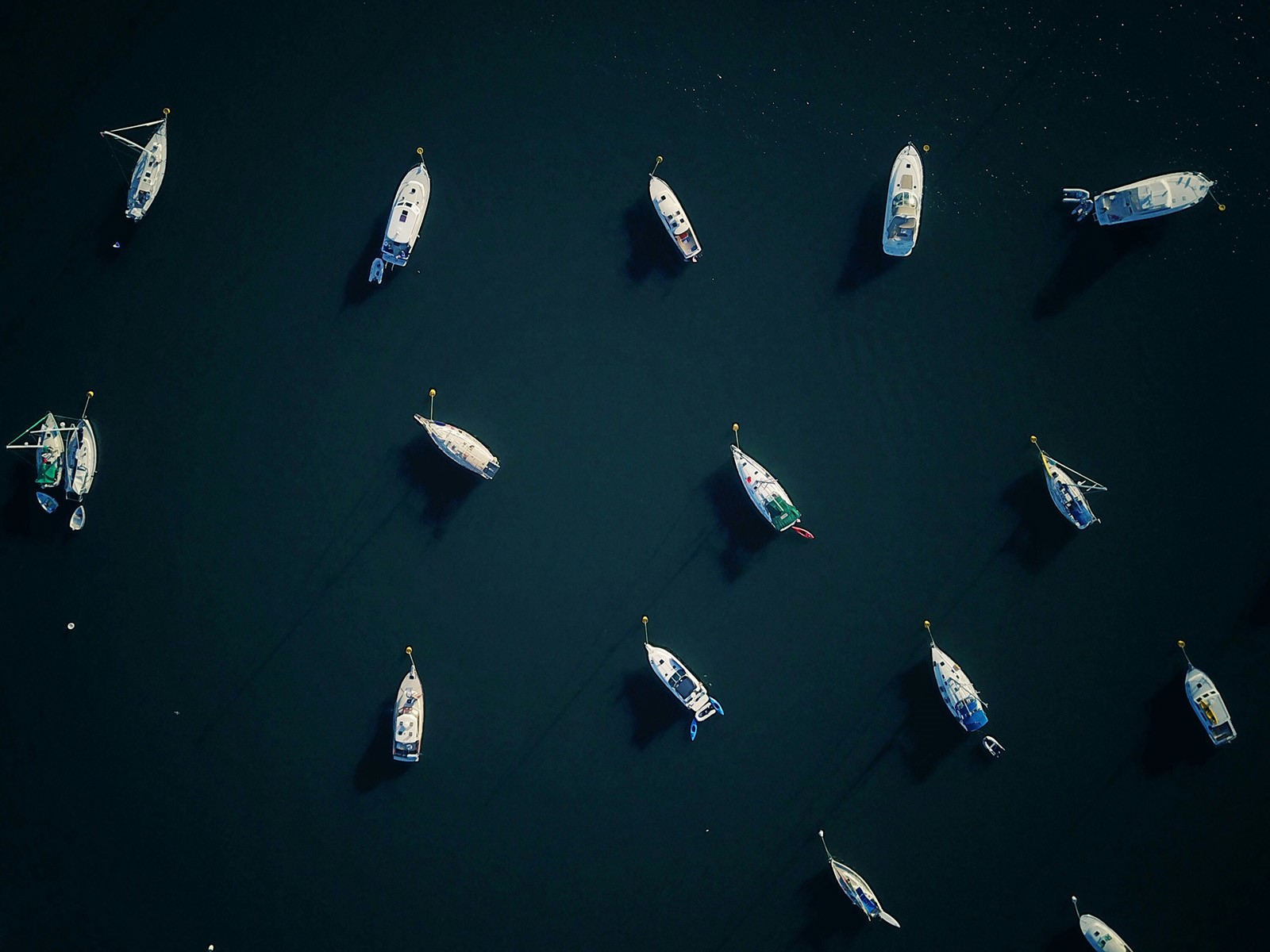 Impact of "fiberglass" on marine ecosystem